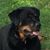 Clarissa Przybylski's profile image