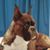 Sylvia Metzger's profile image
