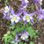 Lorrie Dornbach Urbaniak's profile image