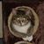 Ray Faircloth's profile image
