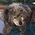 David J. Brooks's profile image