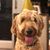 Jeannie Harper's profile image