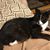 Linda Young's profile image