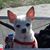 Kimberly Marsh Messick's profile image