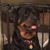 Kathleen Calhoun's profile image