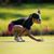 Cathleen Maelisaa Wong's profile image