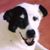 Connie Carrillo's profile image