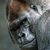 Tim Dunlevy's profile image