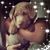 Shelly Gonzales's profile image