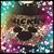 Debs Stiven's profile image
