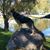 Bobby Finck's profile image