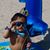 Cecy Rodriguez's profile image