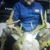 Mike Ousley's profile image