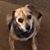 Nancy Harnar's profile image