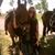 Joan Beecher Guthrie's profile image