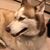 Erika Funderburk's profile image