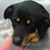 Jan Smith's profile image