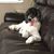Charlene Hawkins Woolfe's profile image