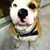 Gene Whitsel's profile image