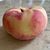 Leslie Chaplin-Singleton's profile image