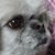 Susie Walker's profile image