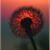 Denette McCloskey's profile image