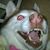 Belynda Nelson's profile image