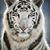 Lorraine Frambes's profile image