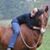 Carolyn Warren's profile image