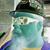 Bear Cronin's profile image