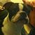 Laura Worman's profile image