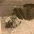 Maria Toscano Morales's profile image