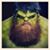 Kyle Burns's profile image
