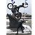 Susan Nettekoven's profile image
