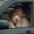 Alison D. Gilbert's profile image