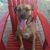 Allison Easley's profile image