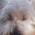 Florisol Icod's profile image