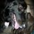 Ashley Janz's profile image