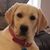 Donna Schoppert Meyers's profile image
