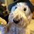 Pascale Green's profile image