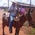 Luis Daniel's profile image
