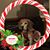 RoseMary Schmidt's profile image