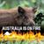 Rick Bell's profile image