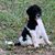 Kelly Brown Roseberry's profile image