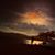 Martha Alicia Sanchez-Cuevas's profile image