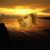 Dottie Pell's profile image