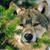 Marianne Wolf's profile image