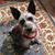 Donna Knight's profile image