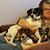 Kim Maddox-Lavery's profile image