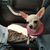 Kitty Kirkland Thompson's profile image